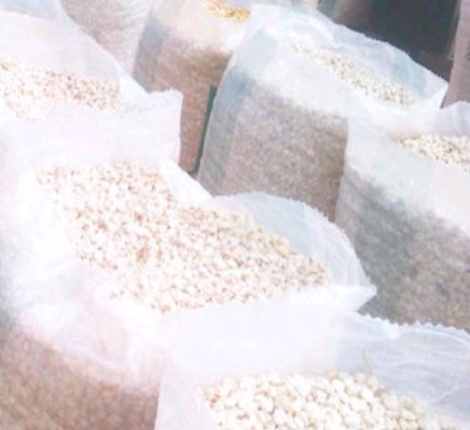White Corn view 2