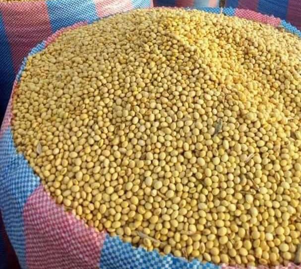Soybeans view 2