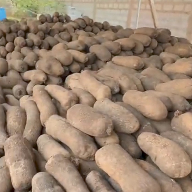 Fresh Yam (per bag) view 3