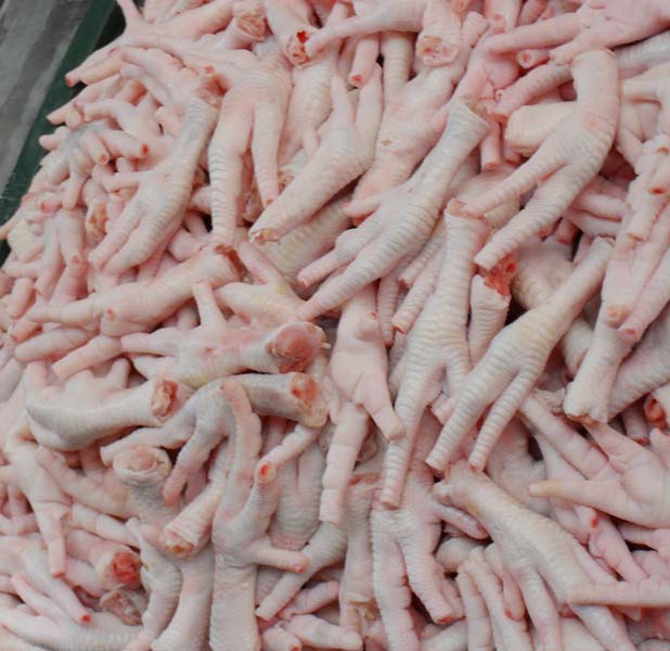 Frozen Chicken Feet - 15 kg per Carton | 66.6 Cartons per tone view 2
