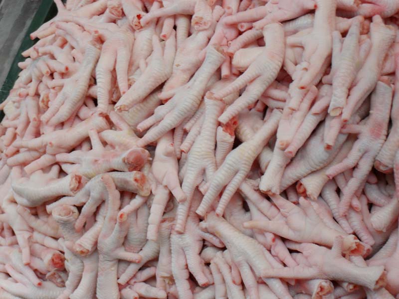 Frozen Chicken Feet - 15 kg per Carton | 66.6 Cartons per tone - MNSWHOLESALE UK Poultry & Meat