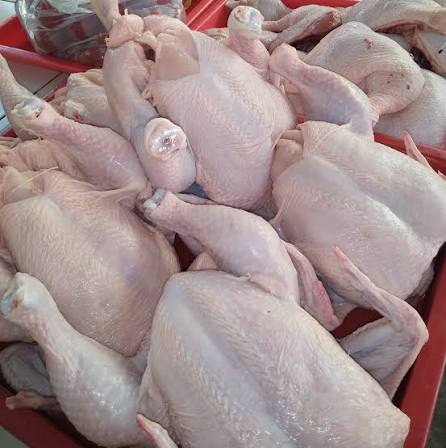 1 Carton Farm Fresh Frozen Whole Chicken | 66 Cartons per tonnes - MNSWHOLESALE